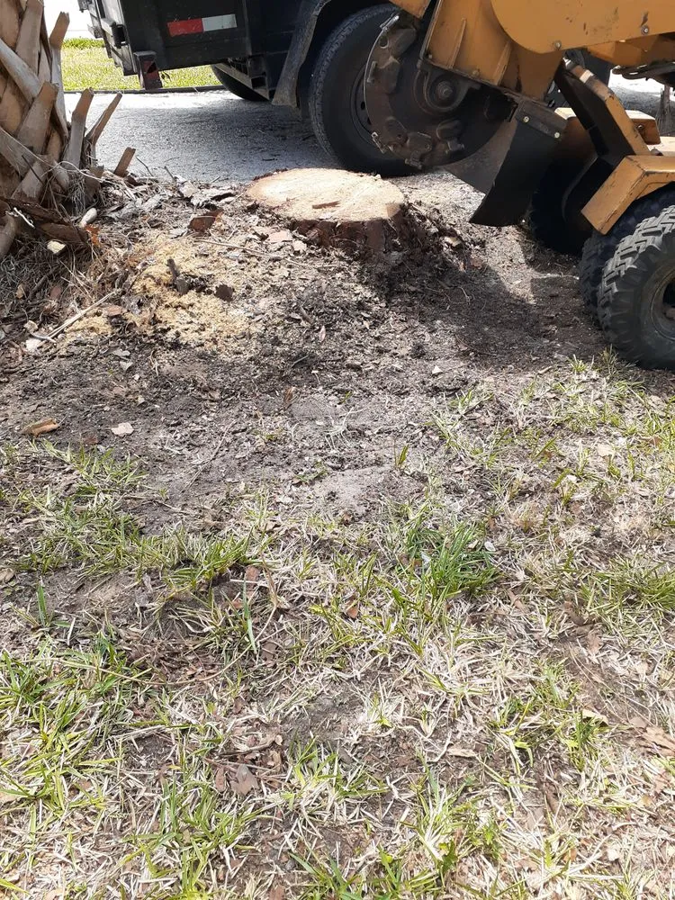 Local yard maintenance experts serving Tampa Bay, FL - Waters Landscaping