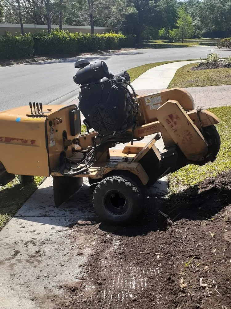 Custom landscape design in Tampa Bay, FL by Waters Landscaping