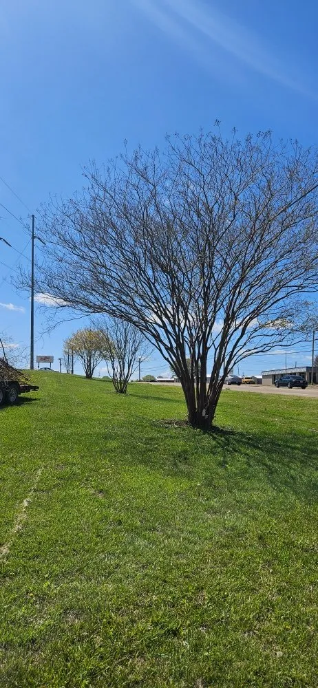 Local landscape design in Pontotoc, MS by Waters Lawn Care