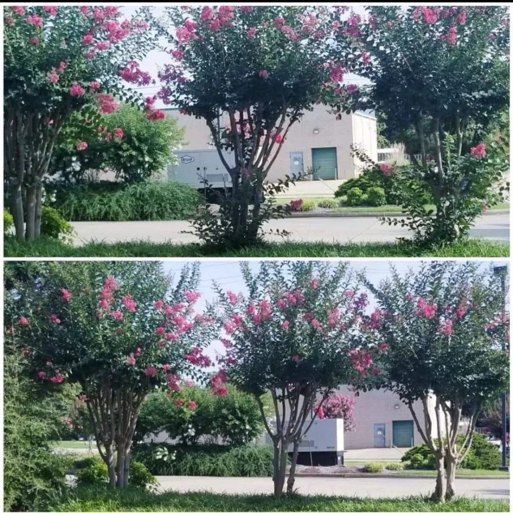 Custom landscape design in Pontotoc, MS by Waters Lawn Care