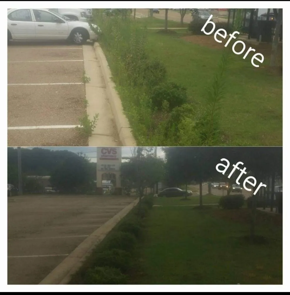 Professional outdoor landscaping experts serving Pontotoc, MS - Waters Lawn Care