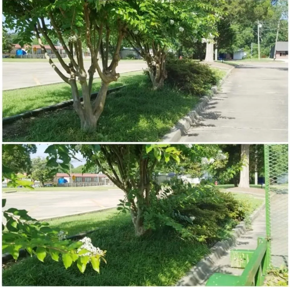 Local yard cleanup service for residential properties across Pontotoc, MS - Waters Lawn Care