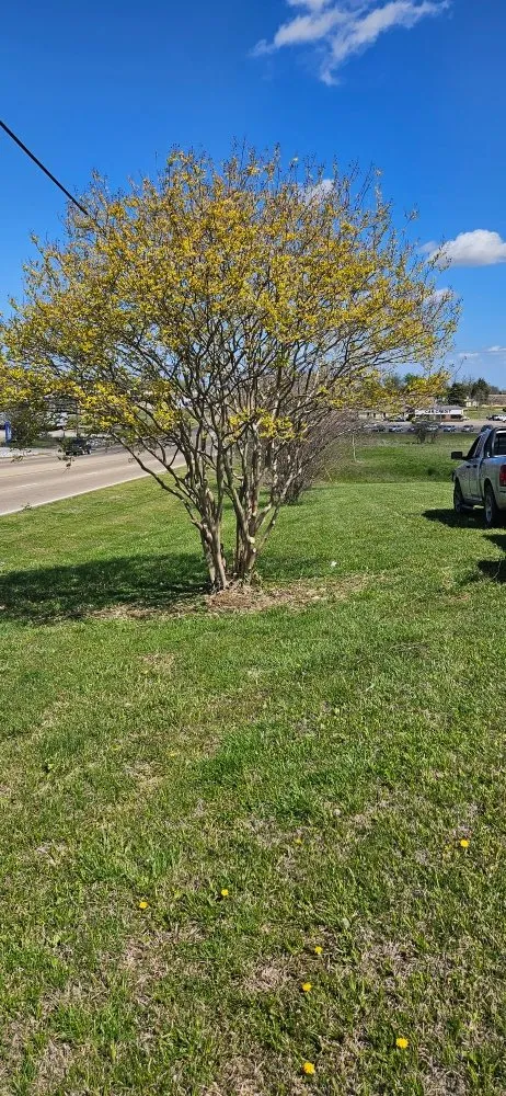 Custom lawn mowing service for year-round maintenance in Pontotoc, MS by Waters Lawn Care