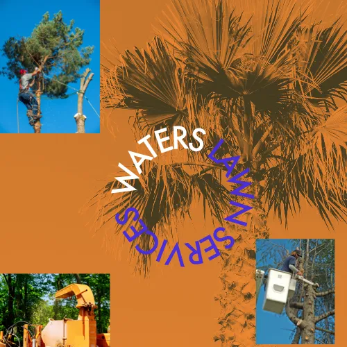 Trusted lawn care service for year-round maintenance across Clermont, FL - Waters Lawn Services