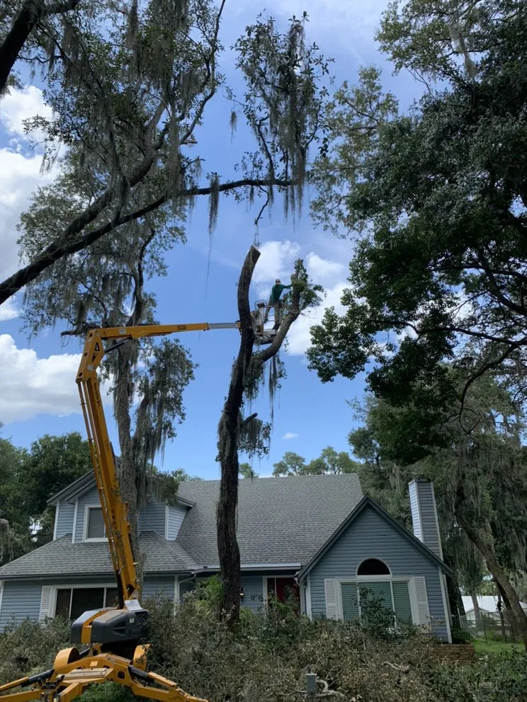 Local outdoor landscaping in Clermont, FL by Waters Lawn Services