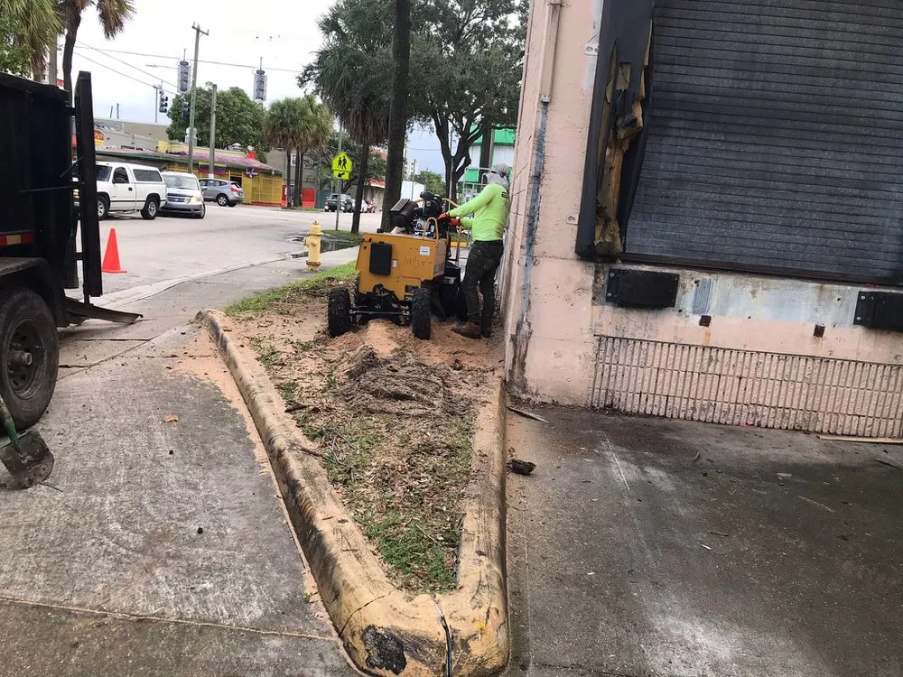 Top-rated landscape installation in Clermont, FL - Waters Lawn Services