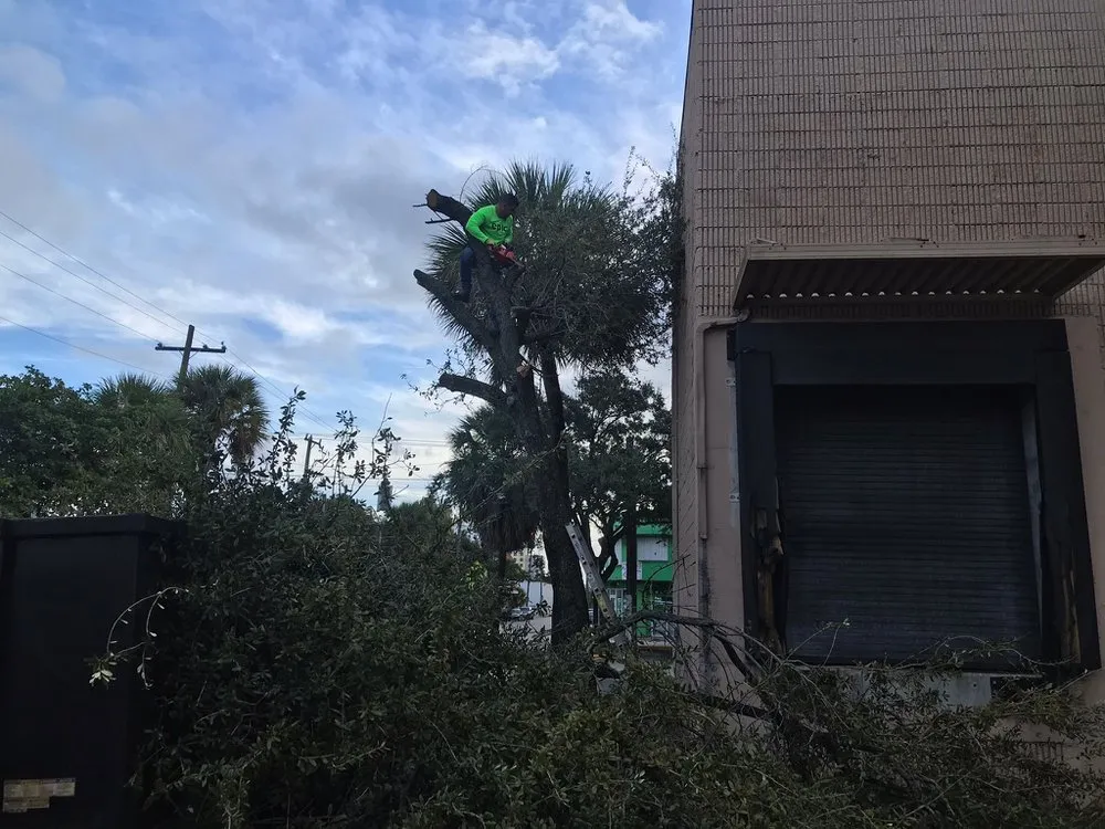 Trusted landscape installation near you across Clermont, FL - Waters Lawn Services