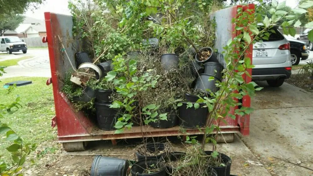 Reliable landscape design in Round Rock, TX by Waters Lawns & More