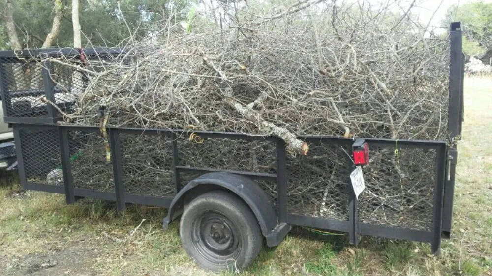 Custom yard cleanup service experts serving Round Rock, TX - Waters Lawns & More