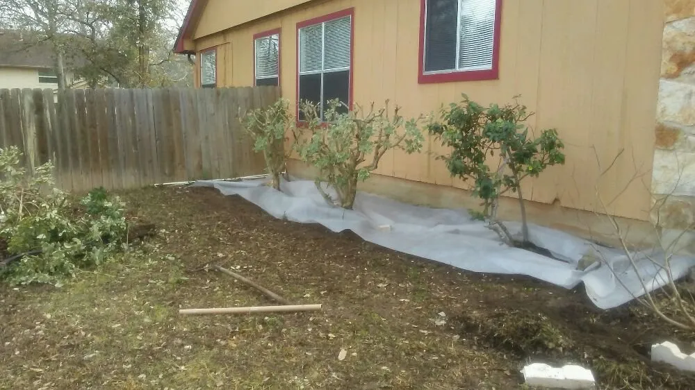 Expert lawn care service in Round Rock, TX by Waters Lawns & More