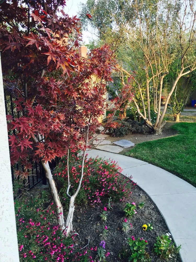 Expert yard maintenance in Visalia, CA by Waters Of The Jordan