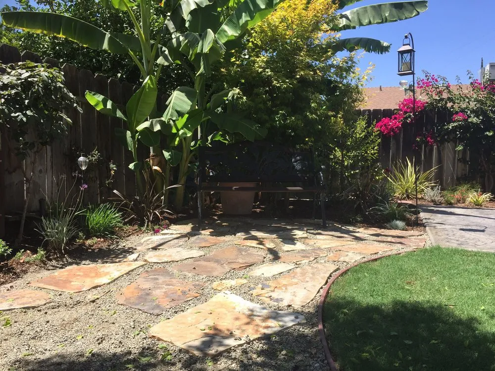 Professional yard cleanup service for beautiful yards in Visalia, CA by Waters Of The Jordan