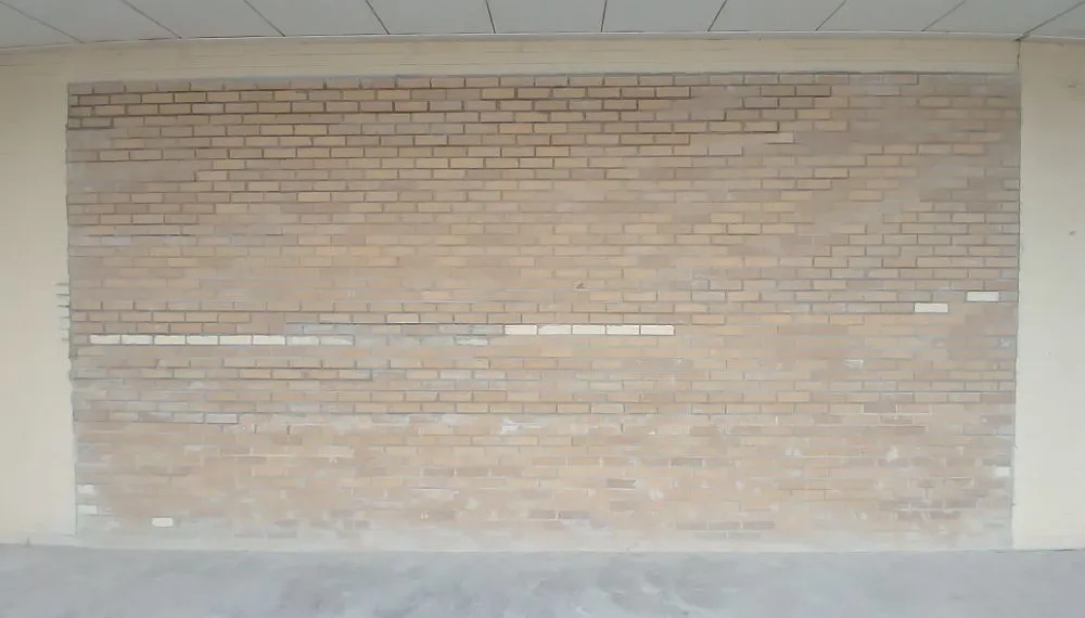 Local landscaping services in Wichita Falls, TX by Waters Property Preservation