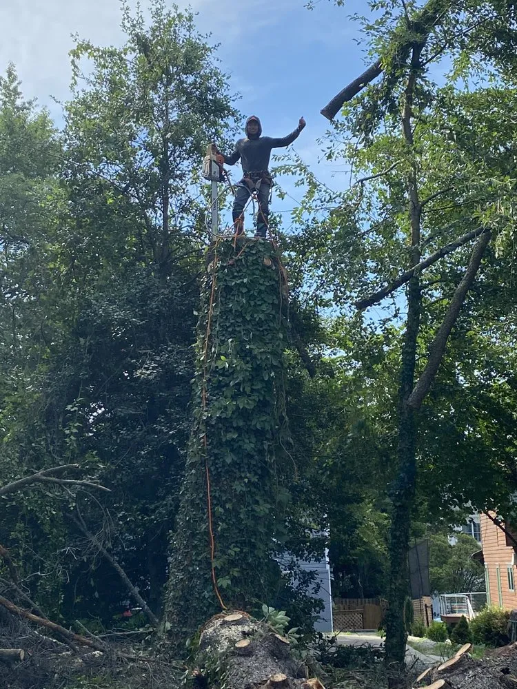 Trusted outdoor landscaping for residential properties in Fredericksburg, VA by Waters Tree and Landscaping