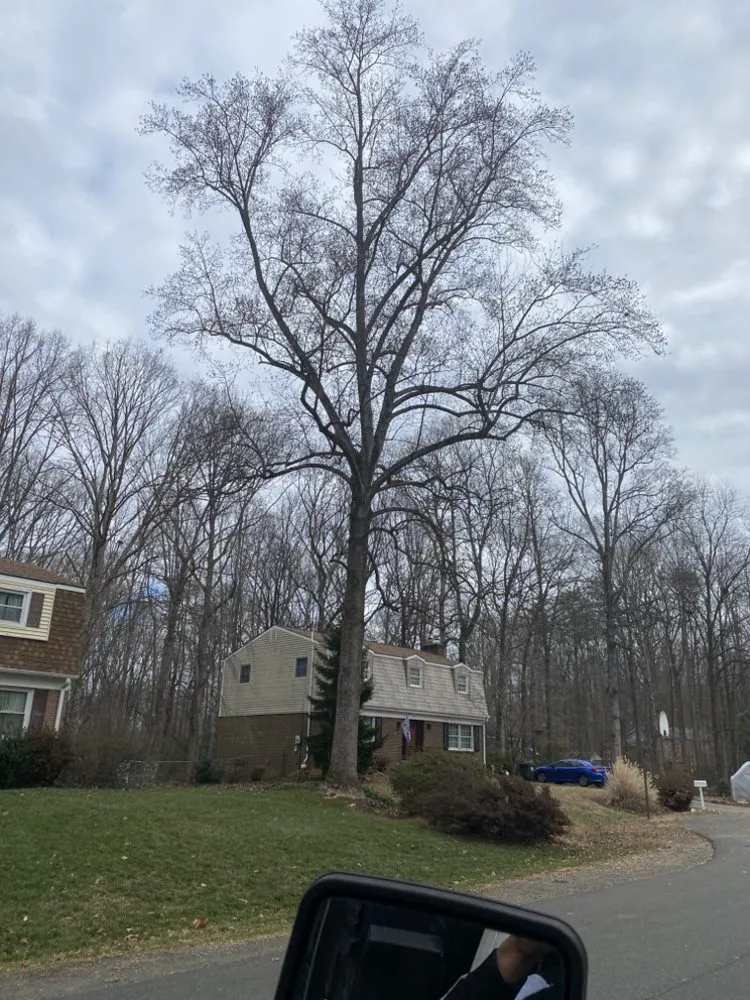 Trusted residential landscaping in Fredericksburg, VA by Waters Tree and Landscaping