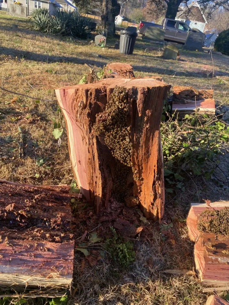 Custom garden landscaping for year-round maintenance across Fredericksburg, VA - Waters Tree and Landscaping