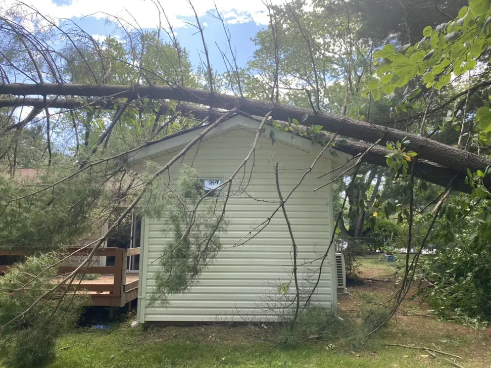 Reliable yard cleanup service in Fredericksburg, VA - Waters Tree and Landscaping