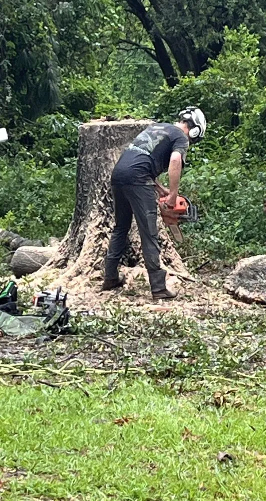 Professional yard maintenance in Tallahassee, FL by Waters Tree Service