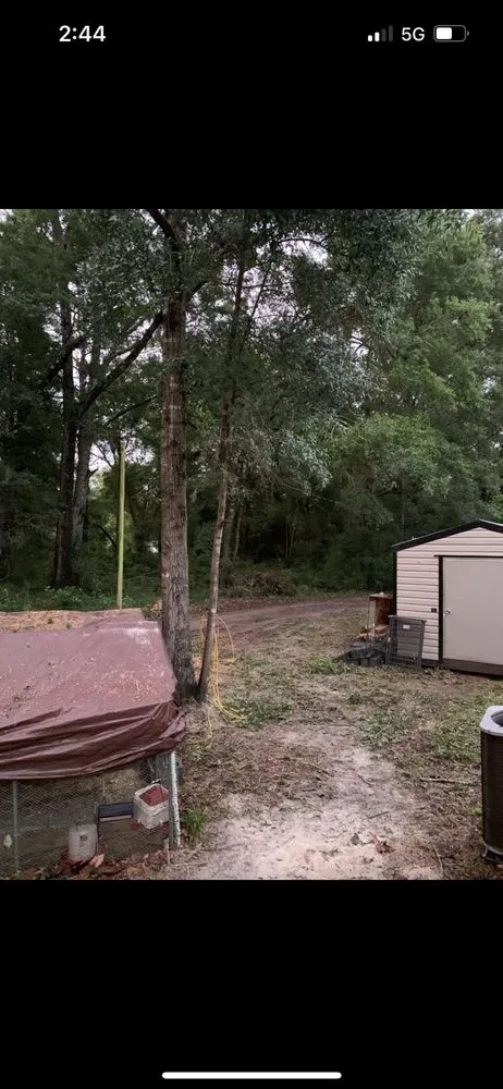 Local lawn mowing service for year-round maintenance in Tallahassee, FL by Waters Tree Service