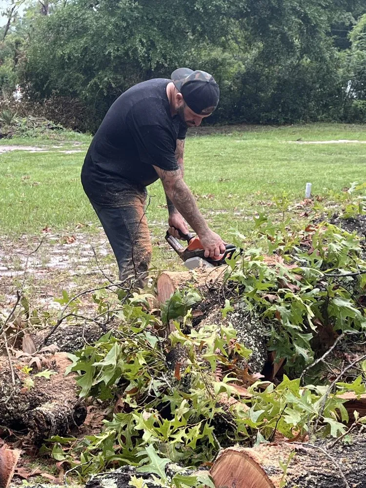 Expert yard maintenance in Tallahassee, FL - Waters Tree Service