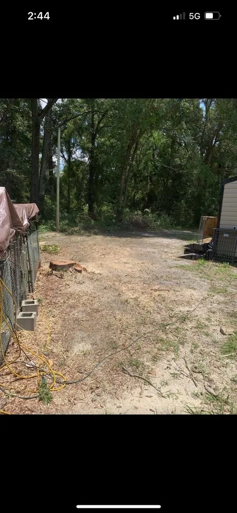 Professional yard maintenance in Tallahassee, FL - Waters Tree Service