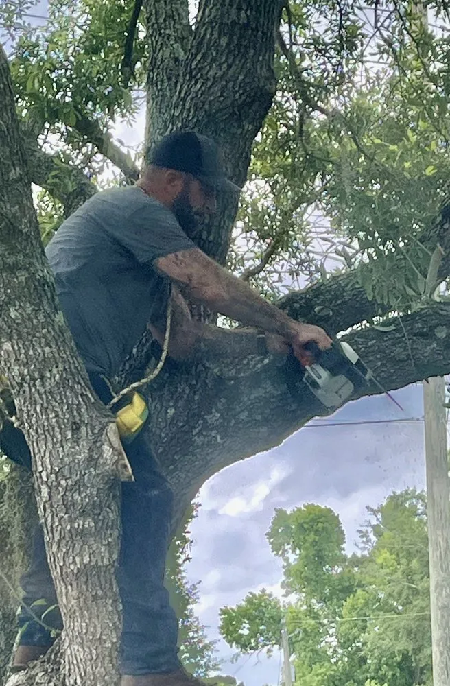 Custom landscape installation for outdoor upgrades across Tallahassee, FL - Waters Tree Service