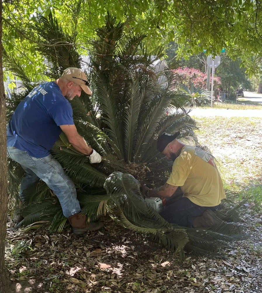 Affordable landscape installation for year-round maintenance in Tallahassee, FL by Waters Tree Service