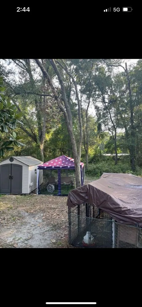 Professional lawn mowing service for year-round maintenance across Tallahassee, FL - Waters Tree Service