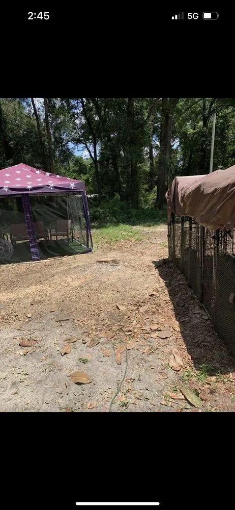 Trusted outdoor landscaping in Tallahassee, FL by Waters Tree Service