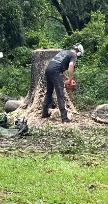 Waters Tree Service Logo