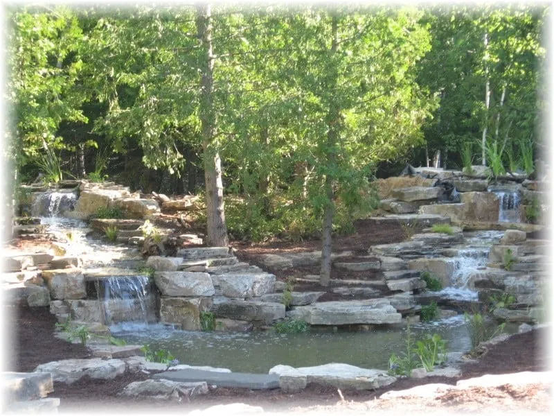 Local yard cleanup service in Forestville, WI - WaterScape Designs