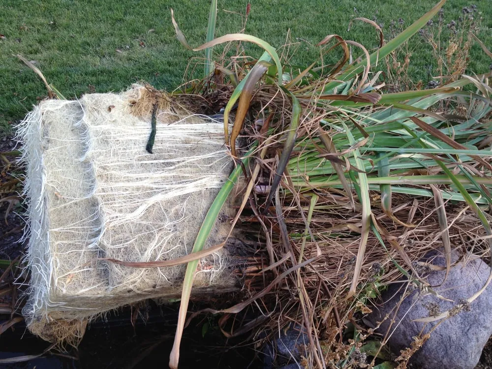 Trusted yard cleanup service in Forestville, WI by WaterScape Designs