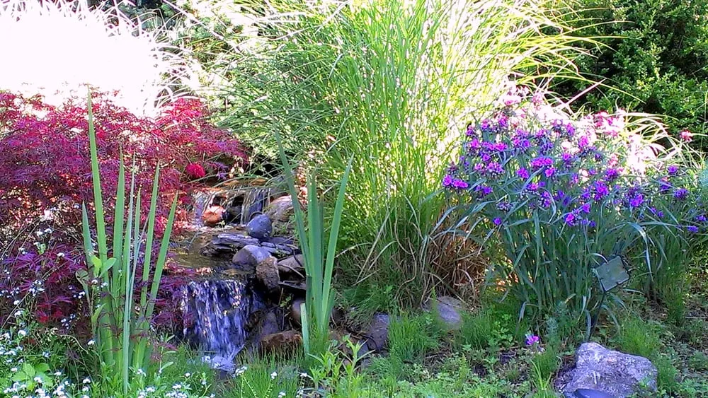 Professional garden landscaping in South Lyon, MI - WaterScape