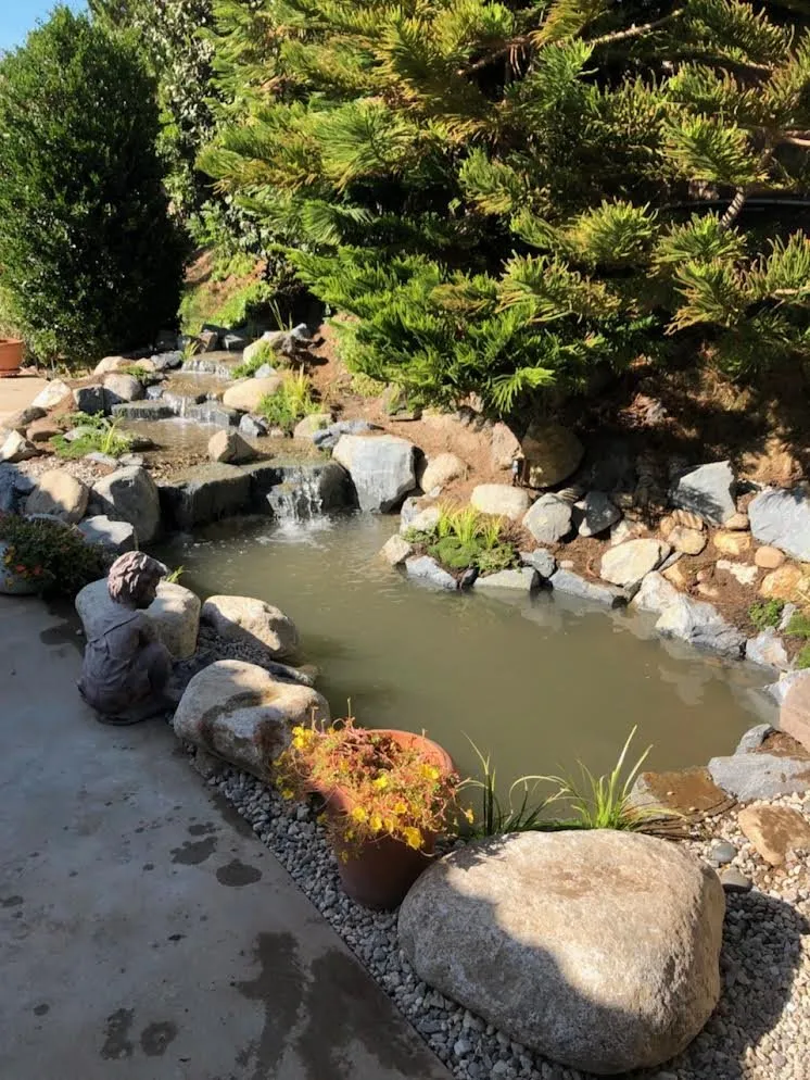 Professional garden landscaping in Pasadena, CA by WaterscapesLA
