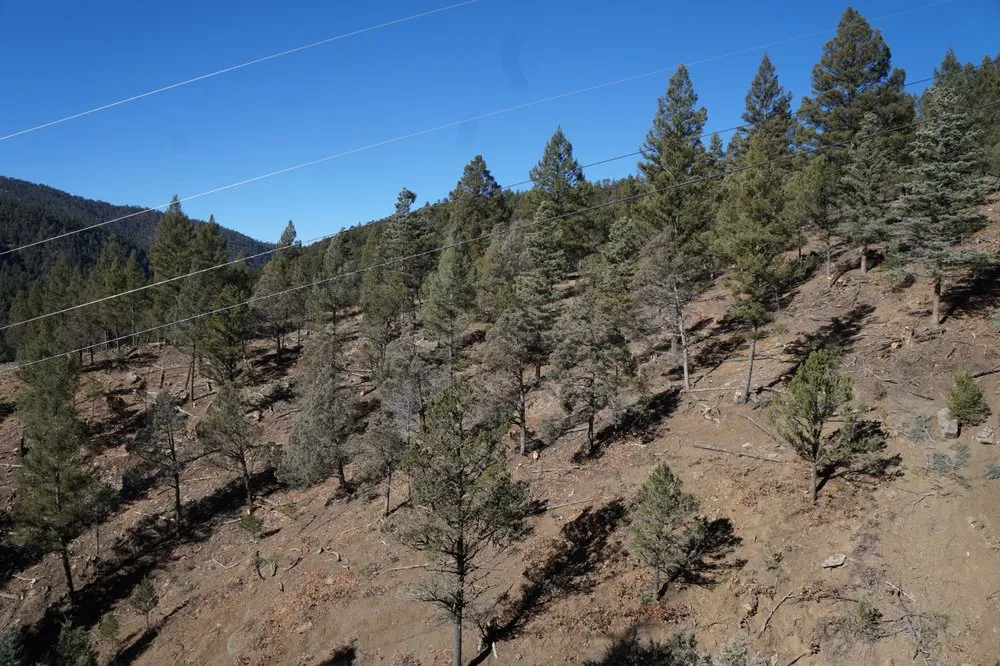 Professional yard cleanup service in Ranchos de Taos, NM - Watershed Dynamics