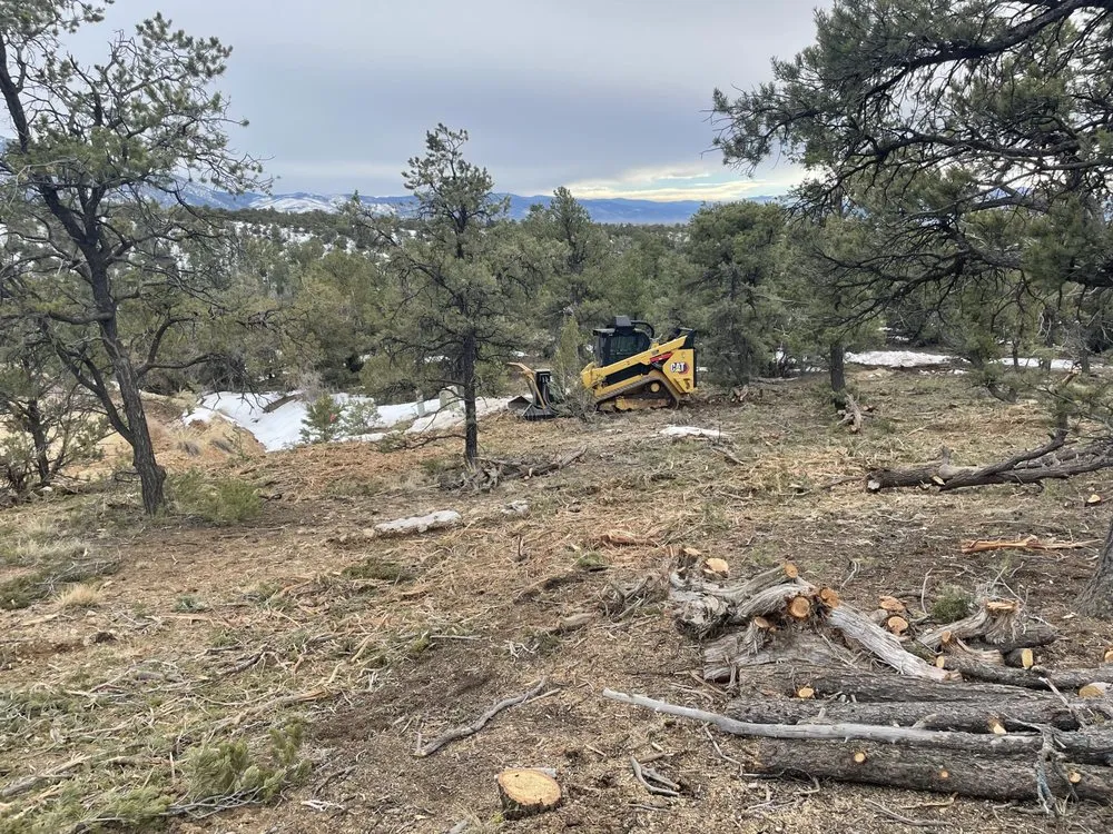 Expert yard cleanup service experts serving Ranchos de Taos, NM - Watershed Dynamics