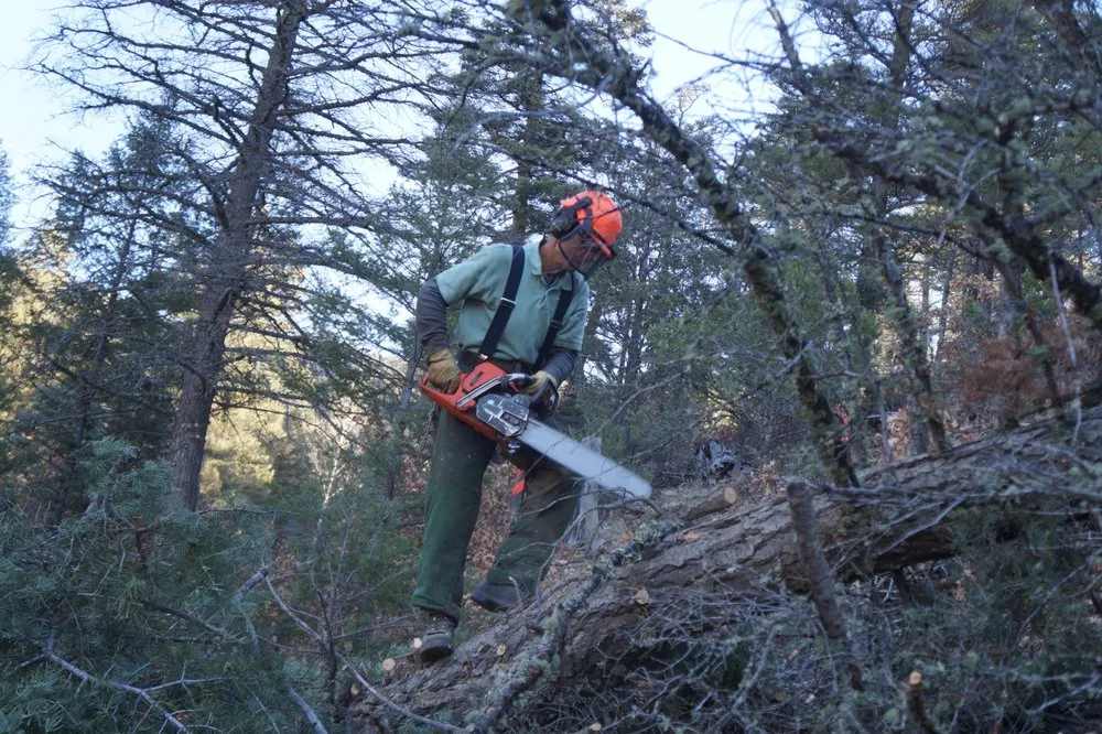 Professional residential landscaping in Ranchos de Taos, NM by Watershed Dynamics