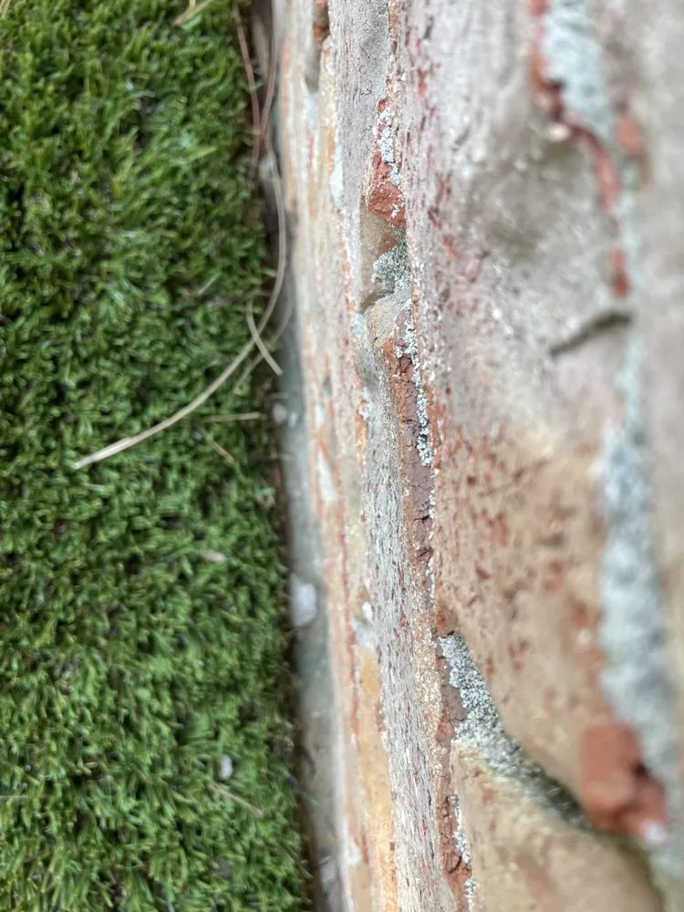 Local residential landscaping in Fort Walton Beach, FL - Waterside Landscape