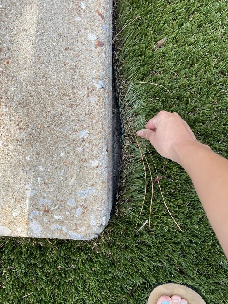 Expert landscape installation for beautiful yards across Fort Walton Beach, FL - Waterside Landscape