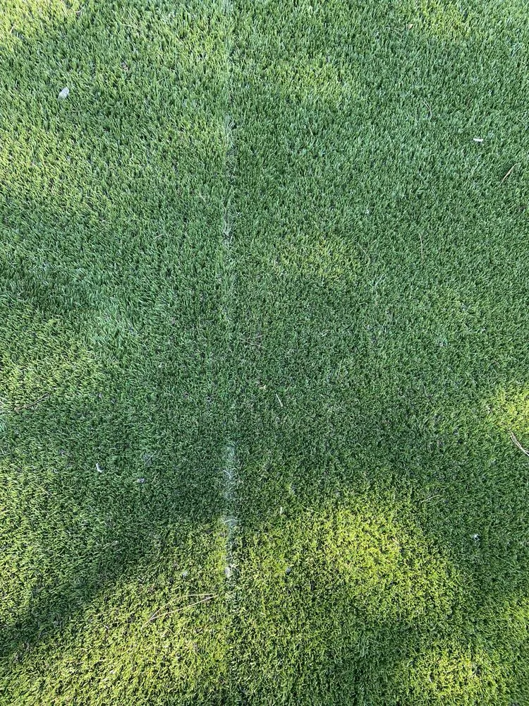 Affordable landscaping services for year-round maintenance across Fort Walton Beach, FL - Waterside Landscape