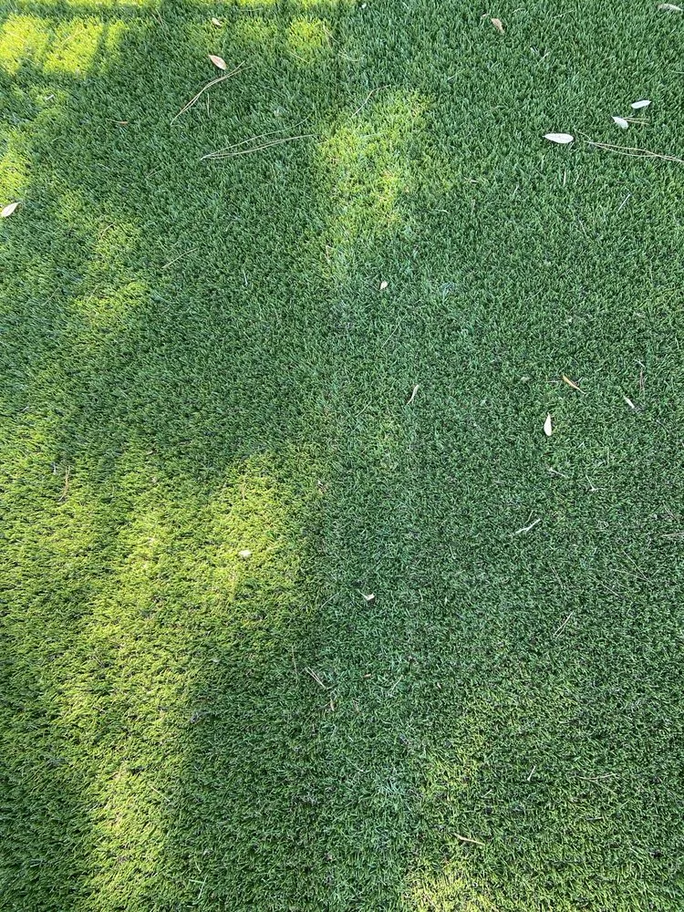 Top-rated outdoor landscaping in Fort Walton Beach, FL by Waterside Landscape