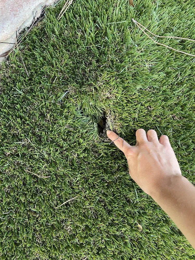 Expert landscape design for year-round maintenance across Fort Walton Beach, FL - Waterside Landscape