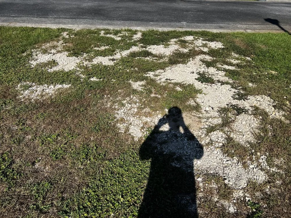 Top-rated landscape design for outdoor upgrades in Fort Walton Beach, FL by Waterside Landscape