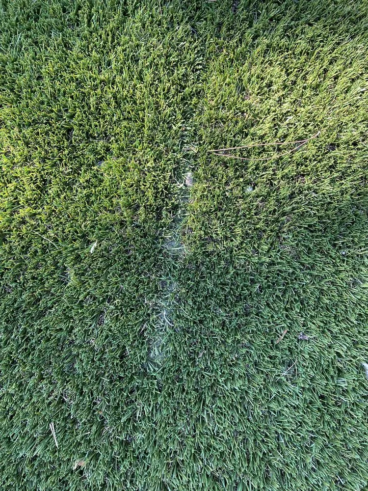 Professional outdoor landscaping in Fort Walton Beach, FL by Waterside Landscape