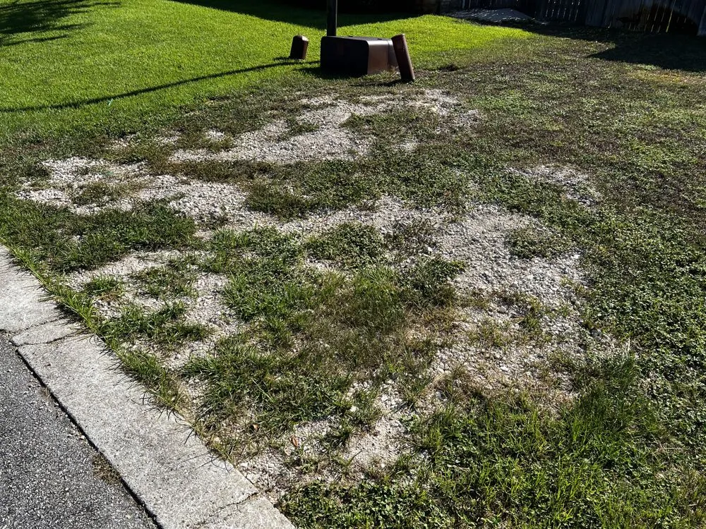 Top-rated yard cleanup service in Fort Walton Beach, FL - Waterside Landscape