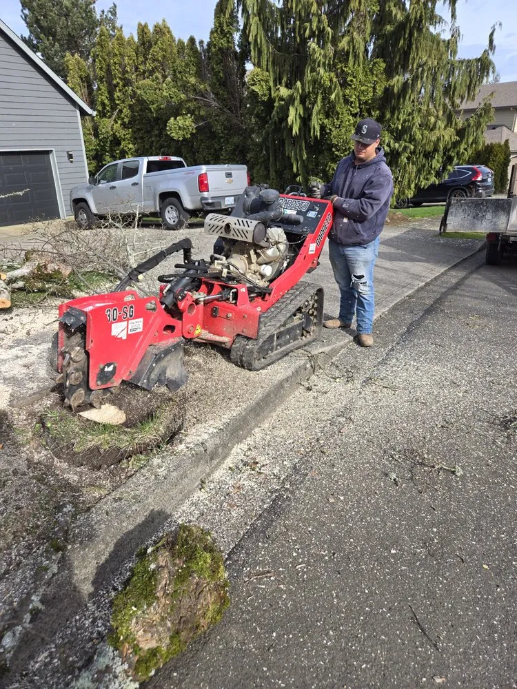 Reliable lawn mowing service in Woodburn, OR by Waterside Landscape Maintenance