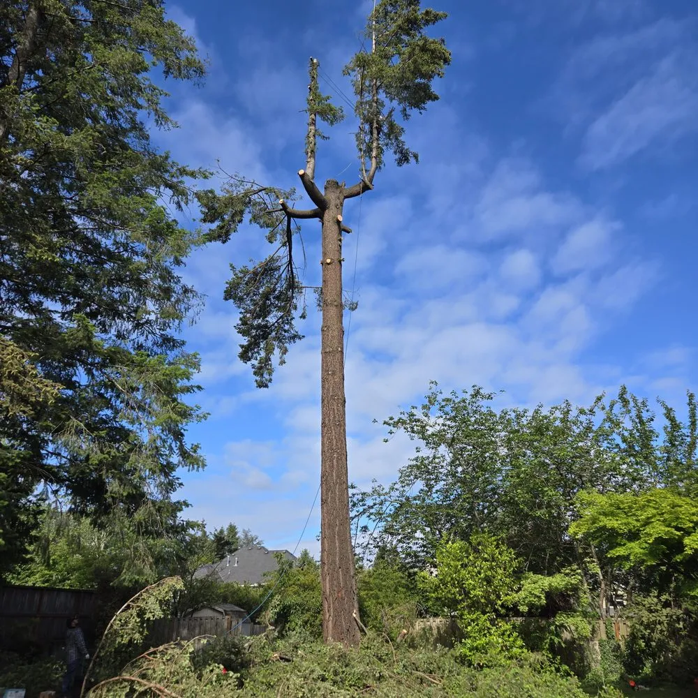 Top-rated landscape installation for homes in Woodburn, OR by Waterside Landscape Maintenance