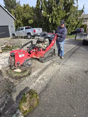 Waterside Landscape Maintenance Logo