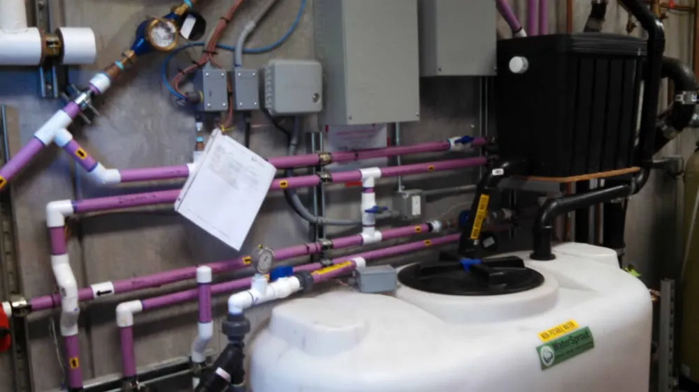 Top-rated yard cleanup service for homes across Oakland, CA - WaterSprout