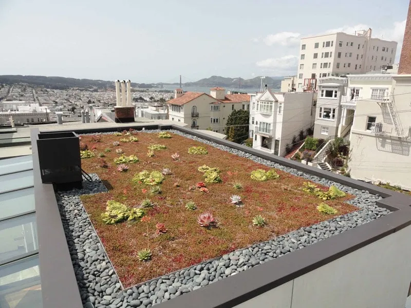 Affordable garden landscaping experts serving Oakland, CA - WaterSprout